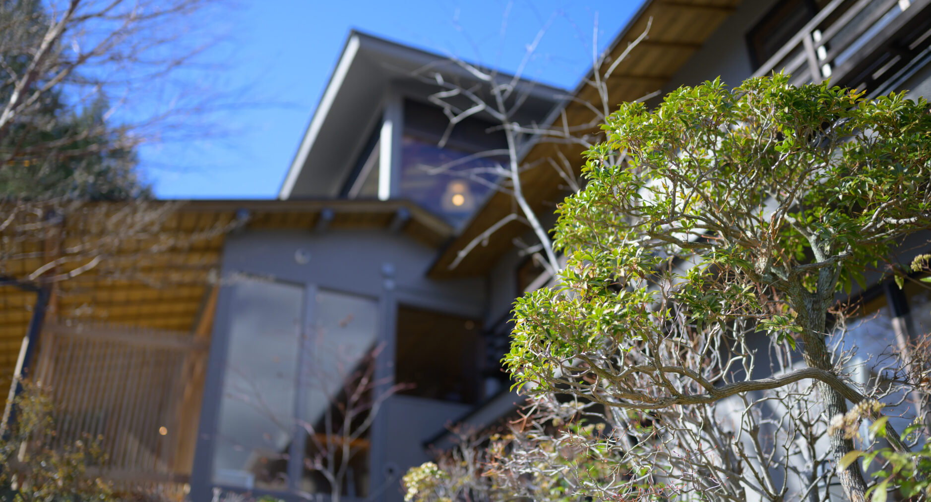 HAKONE GORA 天TEN 107 藤 FUJIの写真 81