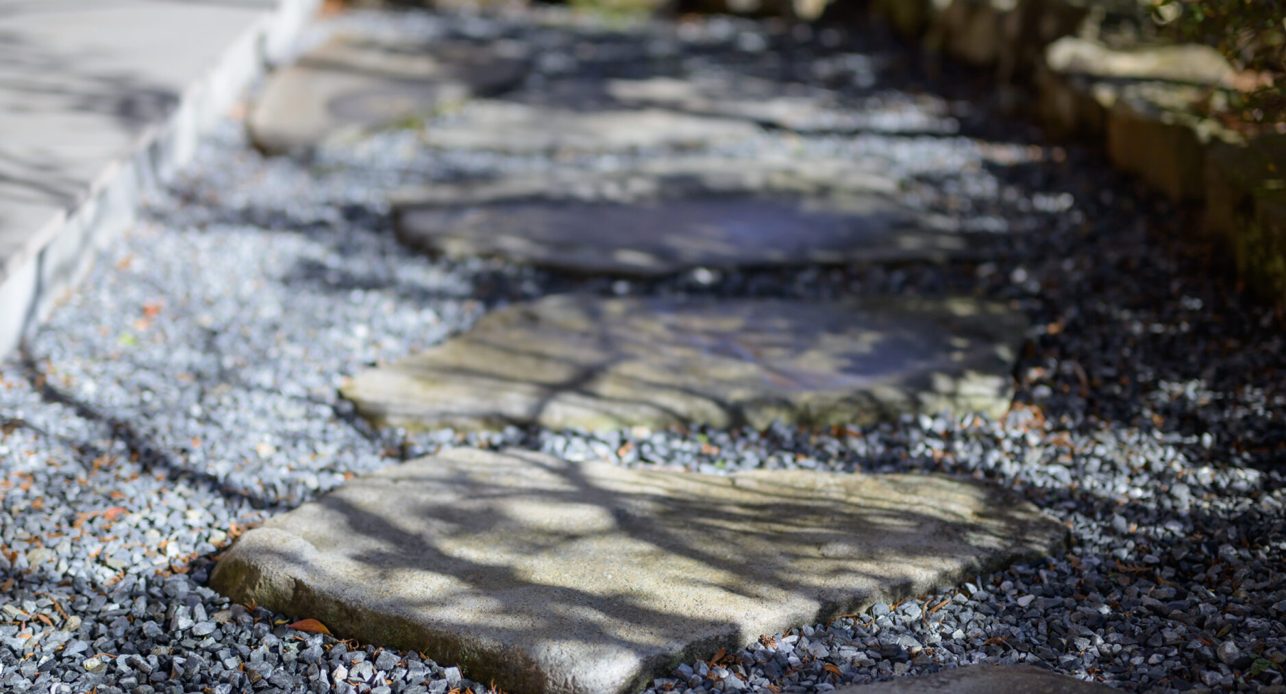 HAKONE GORA 天TEN 107 藤 FUJIの写真 79