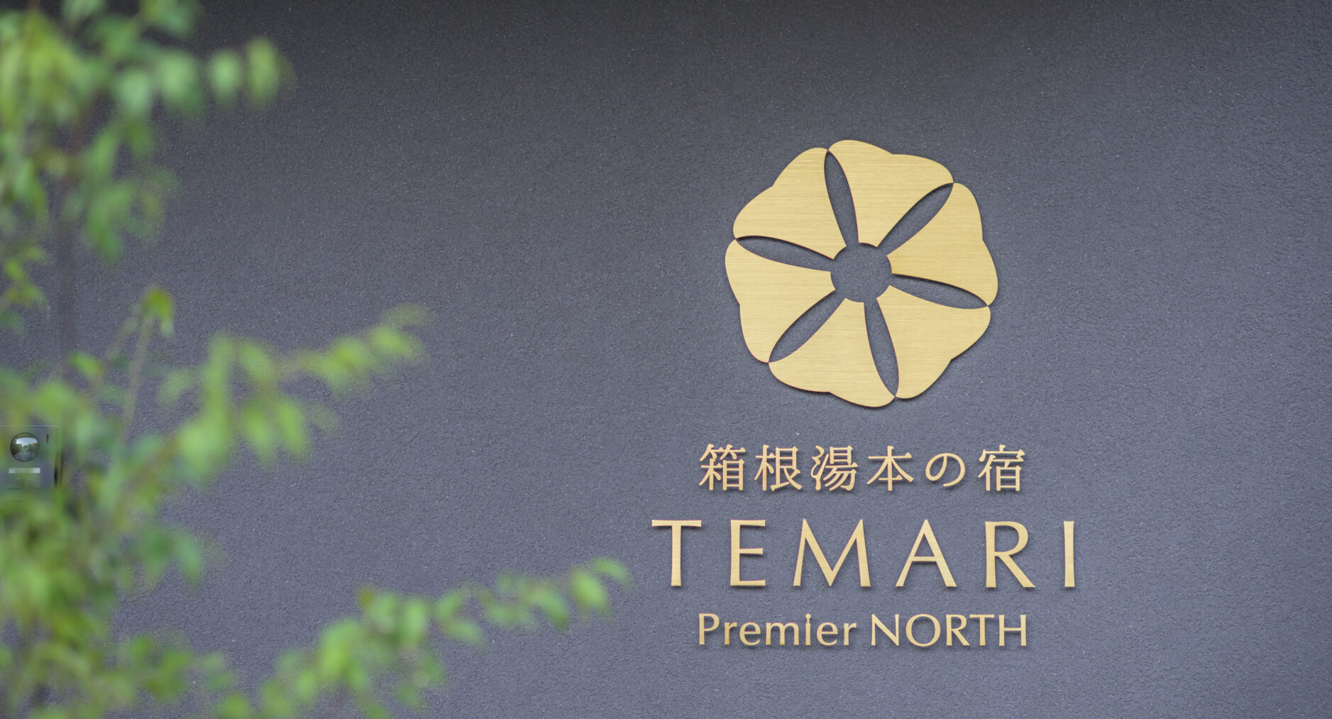 TEMARI Premier NORTHの写真 49