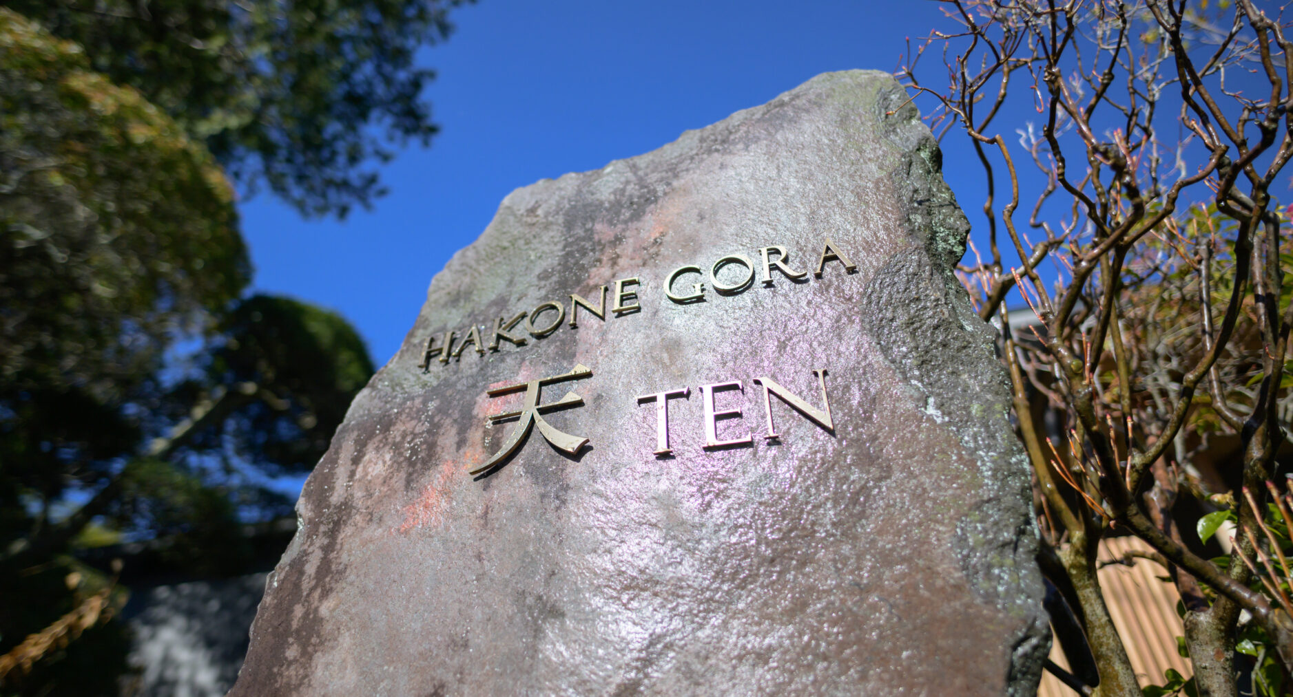 HAKONE GORA 天TEN 106 山吹 YAMABUKIの写真 85