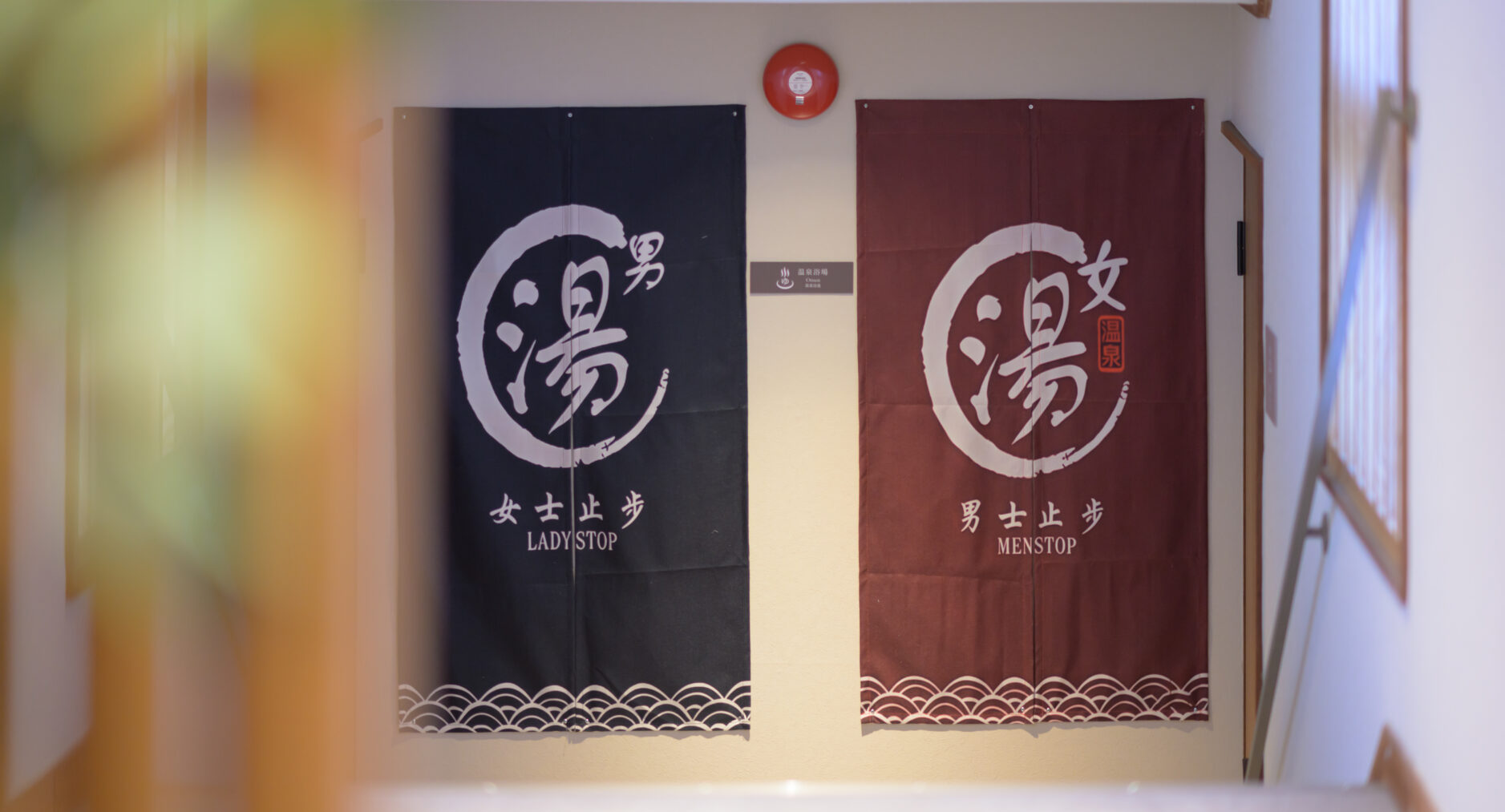 HAKONE GORA 天TEN 107 藤 FUJIの写真 48