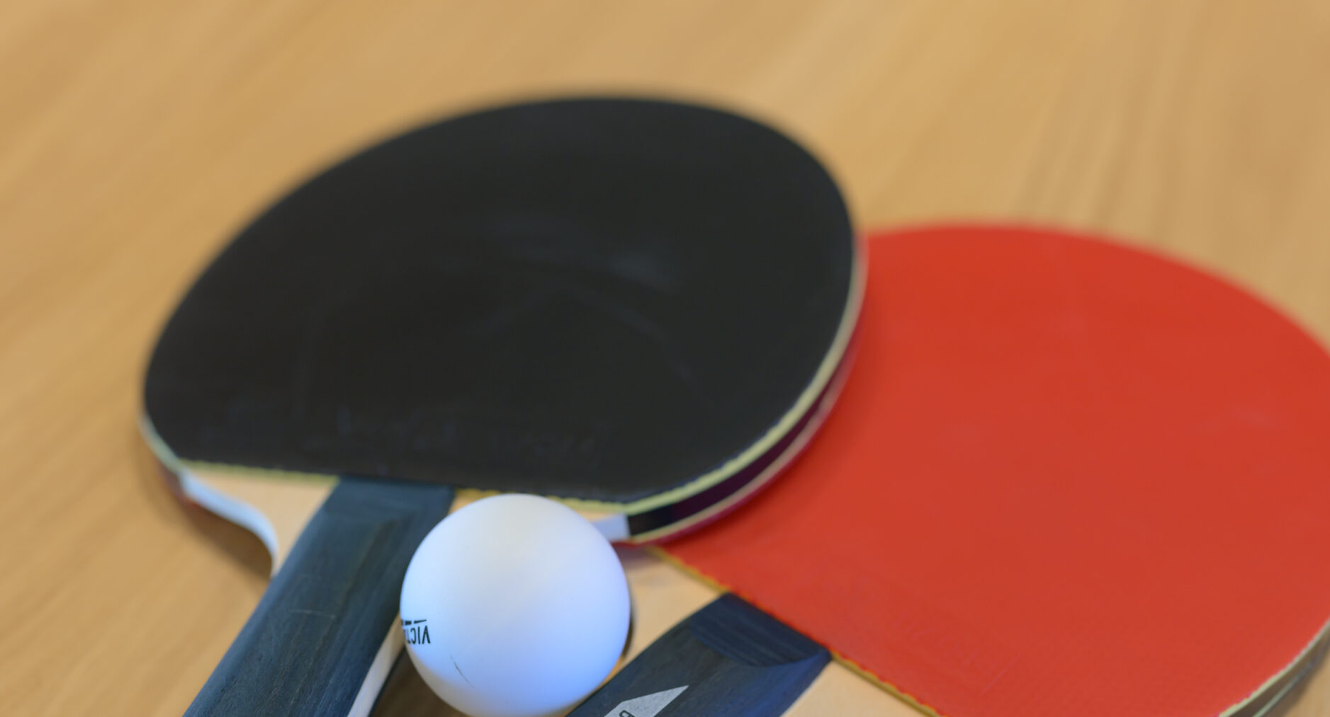 HAKONE GORA 天TEN 107 藤 FUJIの写真 87